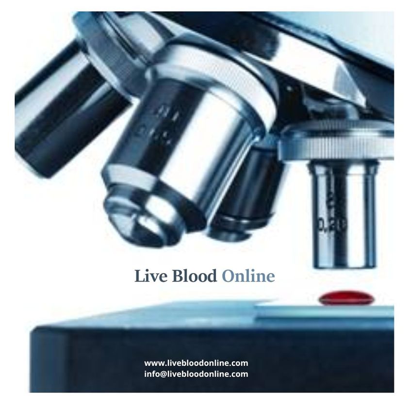 We are currently enrolling for the September 2023 training course.

To know more about and if you are interested to enroll, click here:

livebloodonline.com/the-training-c…

#microscopy
#lbo
#naturopathy
#naturopath
#naturopathie
#livebloodanalysis
#health
#naturalhealth
#livebloodanalysis