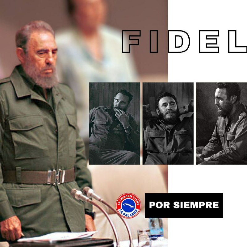 #FidelPorSiempre “Las ideas son hoy el instrumento esencial en la lucha de nuestra especie por su propia salvación. Y las ideas nacen de la educación. Los valores fundamentales, entre ellos la ética, se siembran a través de ella”.
#LatirXUnEneroDeVictorias
#GuerrerosDeLaTrocha