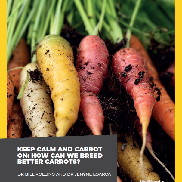 FUTURUMCareers's tweet photo. In our latest collection of #free #teacher #resources we explore #plant #genetics and #breeding with @BRRolling and @DrJLoPhD at @USDA_ARS and @UW_Hort. Learn how they are studying #carrots and conduct your own growing #experiment: https://t.co/JvgIHmGvYd https://t.co/GA01954sJO