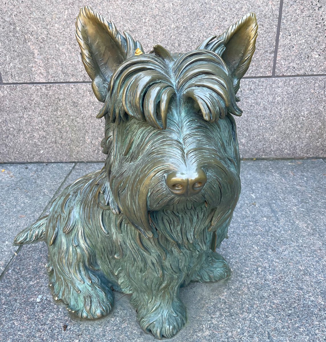 NationalMallNPS's tweet photo. We're getting through the "dog days" of summer, but one particular pup will always be here to greet visitors on the National Mall. Showing a more personal side of President Franklin Delano Roosevelt, planners of his memorial included a statue of his famous dog Fala in the design. https://t.co/66h3gmRbCX