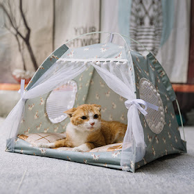 cleanse29's tweet image. Sweet Princess Cat Bed Foldable Cats Tent Dog House Bed Kitten Dog Basket Beds Cute Cat Houses Home Cushion Pet Kennel Products. #CatStore

Original price: USD 13.42

Now price: USD 9.39

More details :  catshopnearme.blogspot.com

#petshop, #adorable, #kitten, #lovercat, #cats