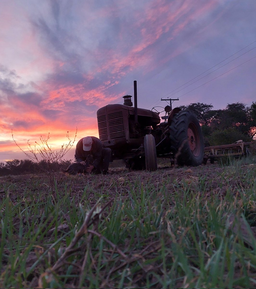 Atardecer en el campo, lo mas lindo del mundo 😁🚜🌱

#agricultura
