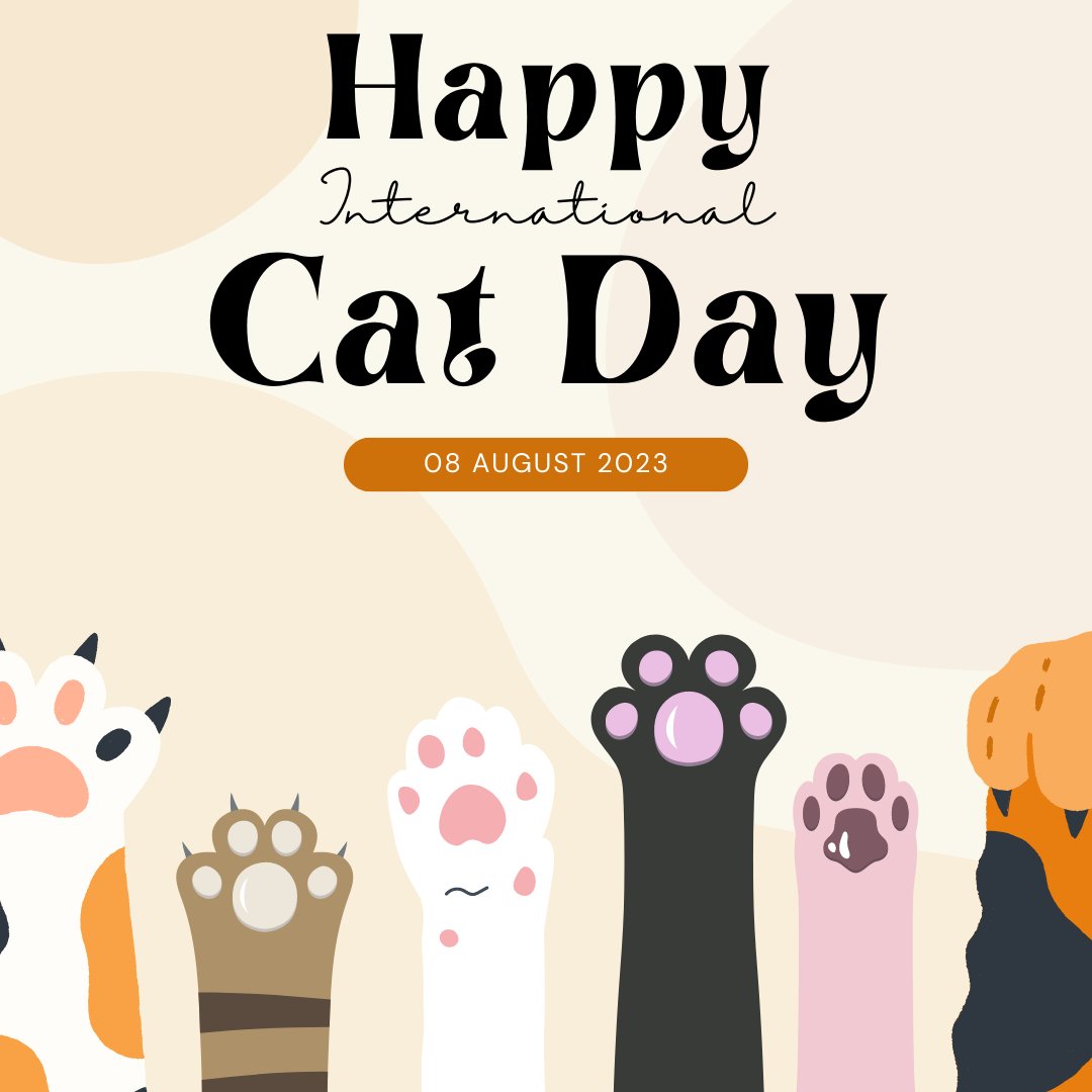 topomy's tweet photo. Happy International Cat Day - 8/8 https://t.co/eSh5dEscQv
