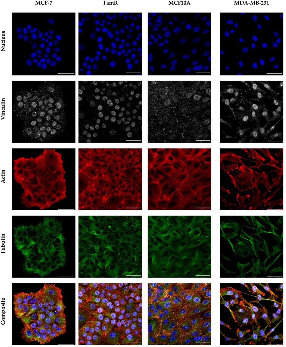 Institute of Biophysics - BOKU Vienna tweet media