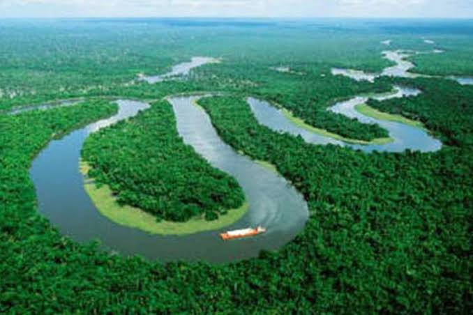 Gabrielasjr's tweet photo. AMAZONAS, Importancia Estratégica  (II). El Clima del Bioma Amazónico.

El clima de la Amazonía es variable dependiendo del área geográfico que se observe. En general, por estar la franja intertropical, en promedio presenta temperaturas cálidas con media anual de 26°C y precipitaciones anuales que tienden a superar los 2.200 mm, sin que exista época seca en la mayoría del área, convirtiéndola en uno de los lugares más húmedos del planeta. La humedad relativa del aire es alta en la mayoría del año, unos 83%. 

Hacia el oeste del Amazonas la temperatura puede alcanzar los 40°C mientras que hacia el área del delta unos 23°C.

Sobre el Amazonas convergen los vientos alisios del noroeste y el sureste a lo largo de todo
el año, fenómeno conocido como zona de convergencia intertropical (ZCIT). Esta zona se caracteriza por una corriente ascendente de aire húmedo y cálido, lo que origina una baja presión atmosférica, propiciando las condiciones para altas precipitaciones.

A través de datos satelitales se descubrió que el aumento de la humedad sobre el lugar coincidía con un reverdecimiento de la selva amazónica. Esto es, un aumento de las hojas frescas. Por tanto, los investigadores sospecharon que la humedad podría ser el vapor de agua liberado durante la fotosíntesis. Durante el proceso conocido como ‘transpiración’, las plantas liberan vapor de agua desde los pequeños poros que se encuentran en la parte inferior de sus hojas.

La humedad que se evapora del océano es más ligera que el vapor de agua liberado a la atmósfera por las plantas. Esto se debe a que, durante la evaporación, las moléculas de agua que contienen deuterio, un isótopo pesado de hidrógeno formado por un protón y un neutrón, quedan atrás en el océano. Pero durante la transpiración, las plantas succionan el agua del suelo y la empujan al aire sin que cambie su composición isotópica.

Más fotosíntesis ↔️  más lluvia
La alta cantidad de deuterio en la humedad sobre el Amazonas descartó que su origen fuera vapor de agua del océano. Además, el nivel de deuterio era mayor durante el final de la estación seca en la Amazonia, esto es, durante ese proceso de reverdecimiento en el que la fotosíntesis es más fuerte. Por lo que la lluvia en el Amazonas podía estar inducida por los árboles.
Esto señala a las plantas y los árboles no solo como esenciales para absorber carbono y ejercer de hábitat para las especies, entre otras funciones, sino también para prevenir la sequía: un ejemplo más de la necesidad de detener la deforestación.

#CienciaEnLaVida
#VozDeVenezuelaEnBrasil 

Cumbre de naciones para proteger al pulmón vegetal del planeta. 

¡Garanticemos una Amazonía de todos los sudamericanos.