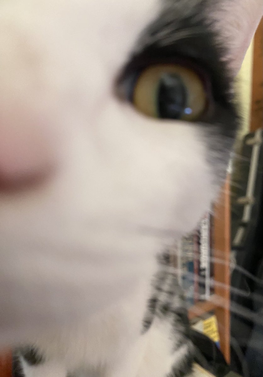 Applicants can take a CLOSE LOOK at graduate programs at the #aejmc23 Grad Program Expo today from 2 to 5 p.m. Wayne State University #WSU_com will be at Booth 36 to talk about our MA and PhD programs and graduate certificates.