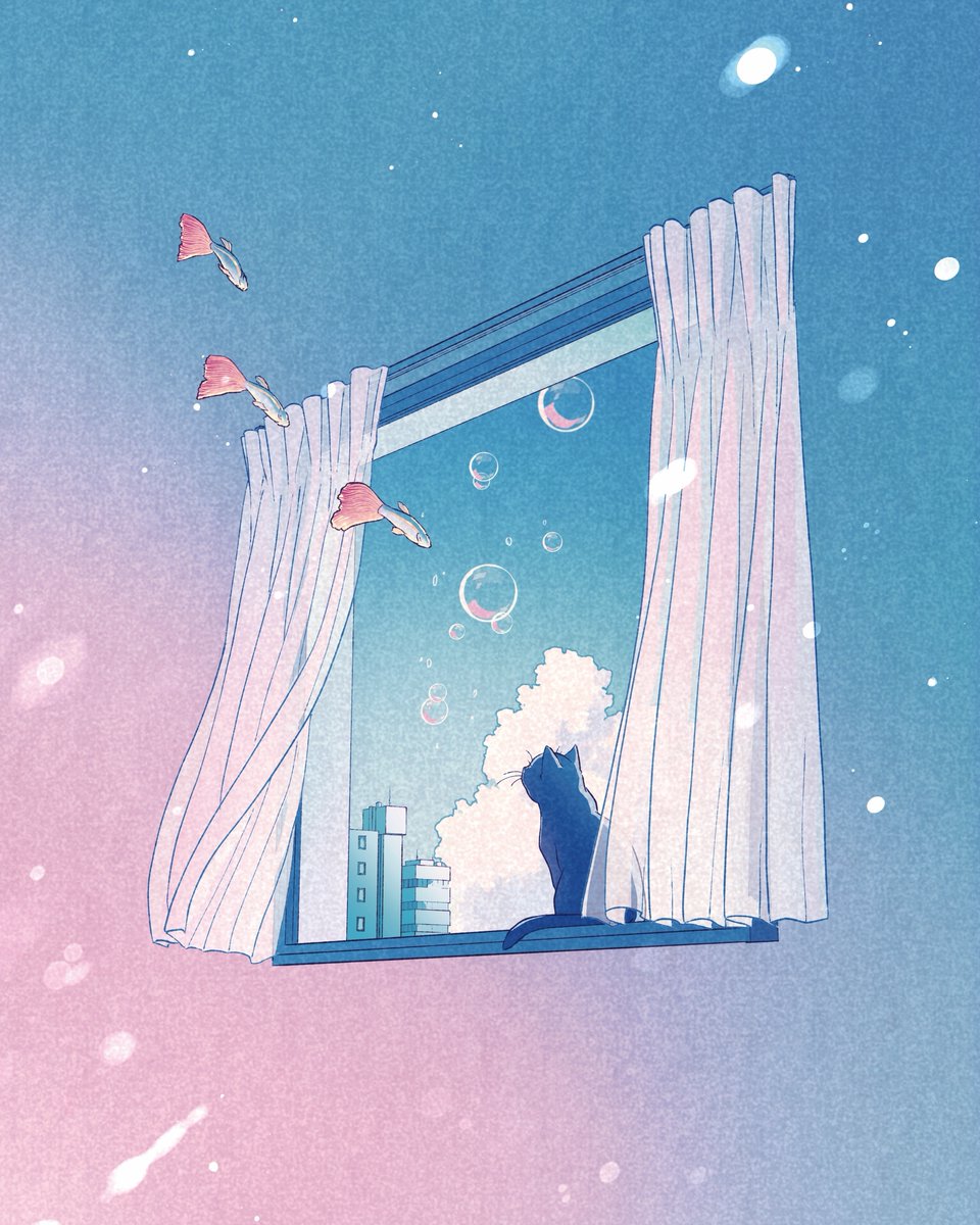 window cat no humans curtains sky fish bubble  illustration images