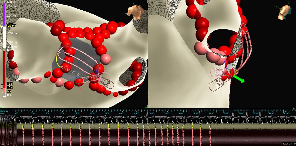 Mallory Taylor tweet media