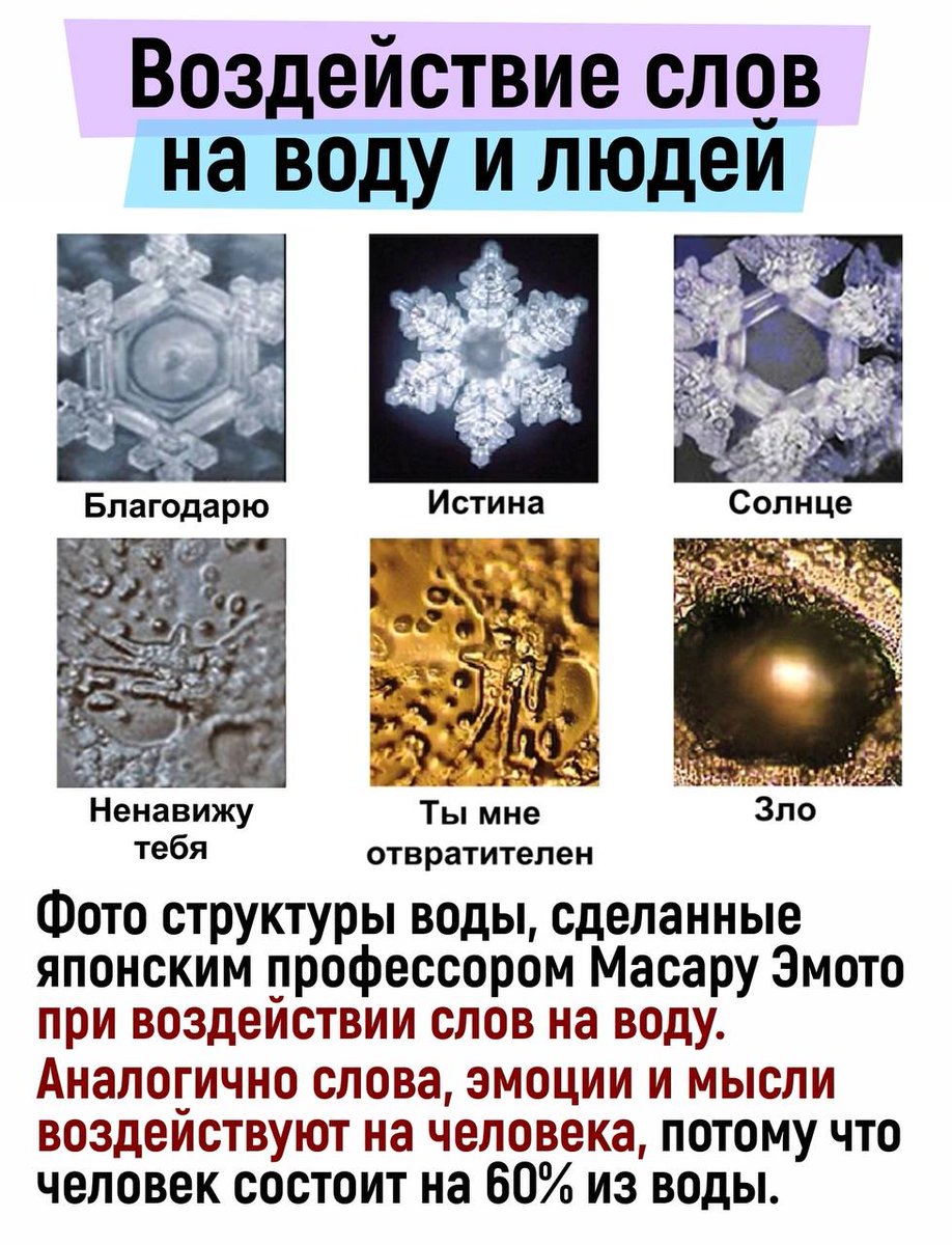 Stas Kirov (@kirov_09) on Twitter photo 