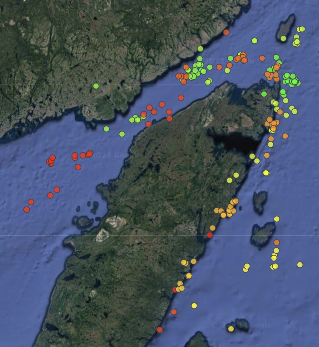The satellite tagged female killer whale keeps transmitting! She (and presumably the rest of her group) have made 2 trips into the northern Gulf of St. Lawrence, but otherwise has stuck near the coast of Newfoundland's northern peninsula since 27 July. (red = most recent)