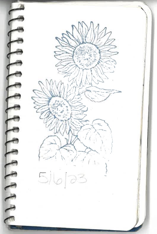NatureUpNorth's tweet photo. In May the Hermon-Dekalb Girl Scout Troop left a letterbox at Lampson Falls, when we collected it, we were overjoyed with the stamps, signatures, drawings, words of advice, and paw-prints that were left behind. Thank you to everyone who visited our little letterbox this summer! https://t.co/Sv54ze9qH5