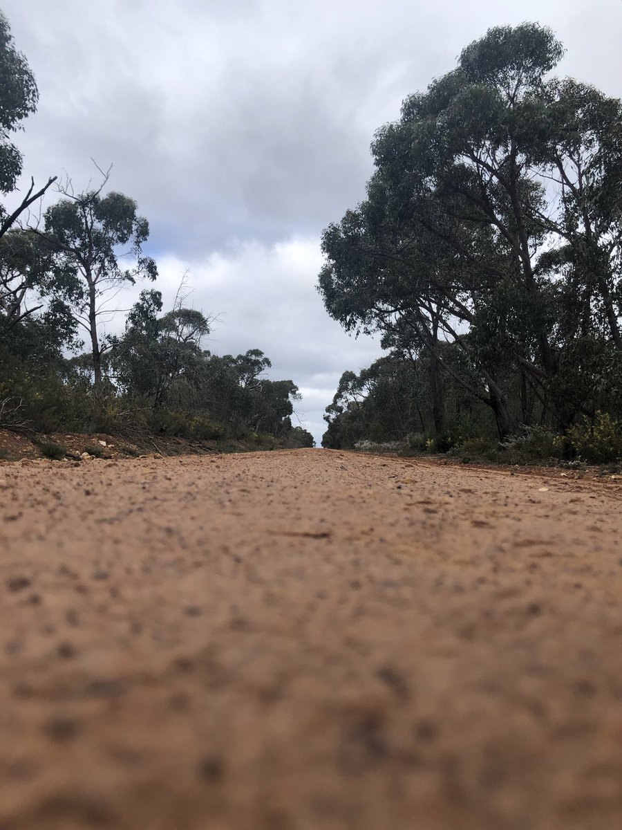 tammy_pluck's tweet photo. A Thread👇
3. We’re now enjoying time with our niece, nephew and family in #TheGrampians. We’ve enjoyed hikes, waterfalls, country. #returningexpat #stillcallaustraliahome #reddirt #Victoria https://t.co/kL3shtQH3v