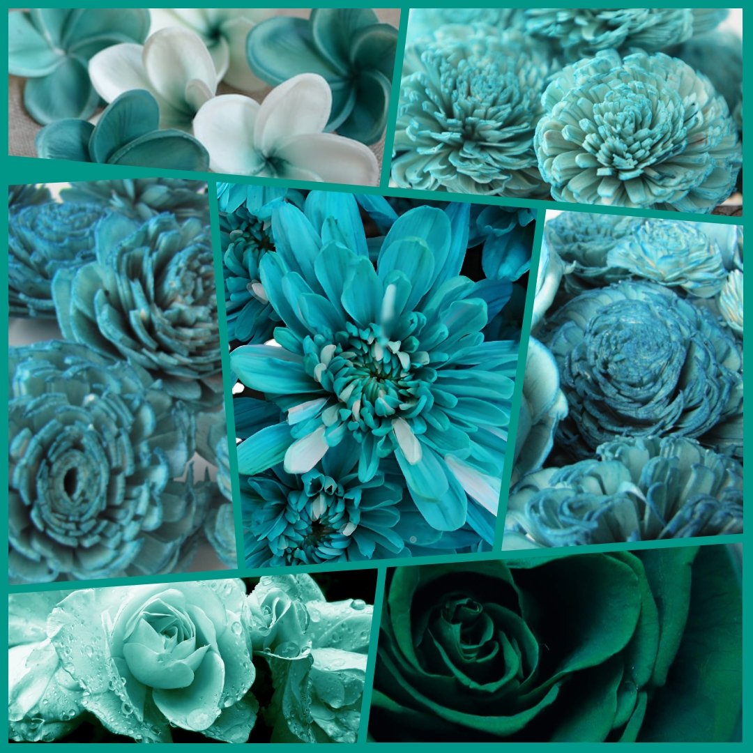 #turquoisetuesday #Flowers