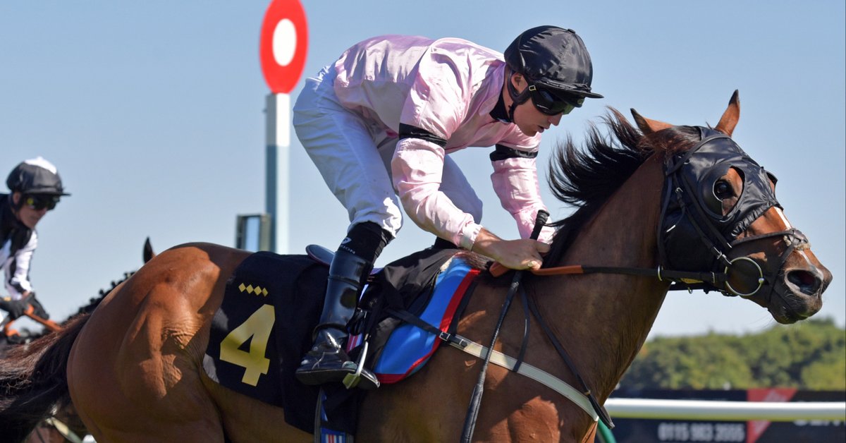 NottsRacecourse's tweet image. It's coming... THE COLWICK CUP 🏆 Tuesday 15th August. 

Who remembers our 22' Champ, ALPINE STROLL?

Tickets 👉 rb.gy/3nfaj

#colwickpark #horseracing #sport #nottingham