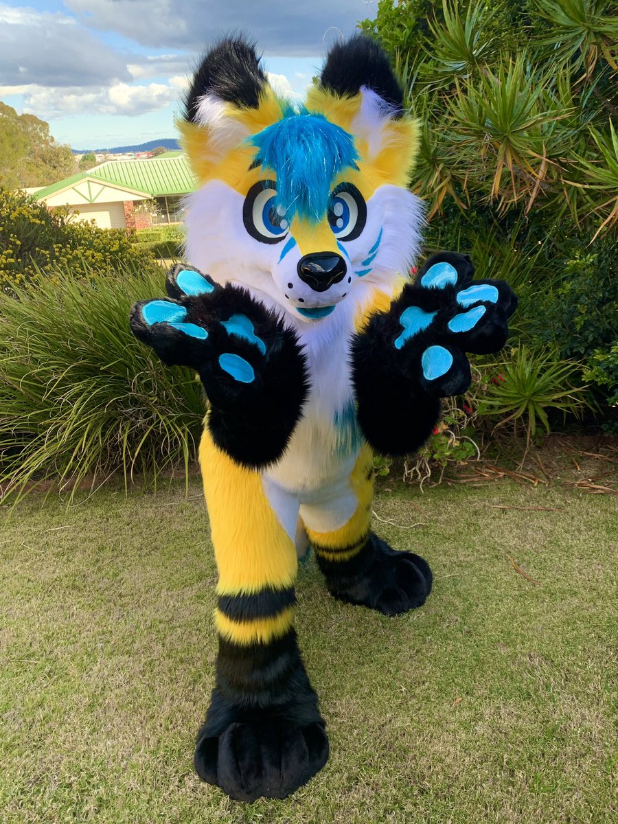 LupeSuits's tweet photo. The very bright &amp; Sparkly Charmie fox, looking as cute as ever! 🦊 💛 https://t.co/ACvn0r9JZU