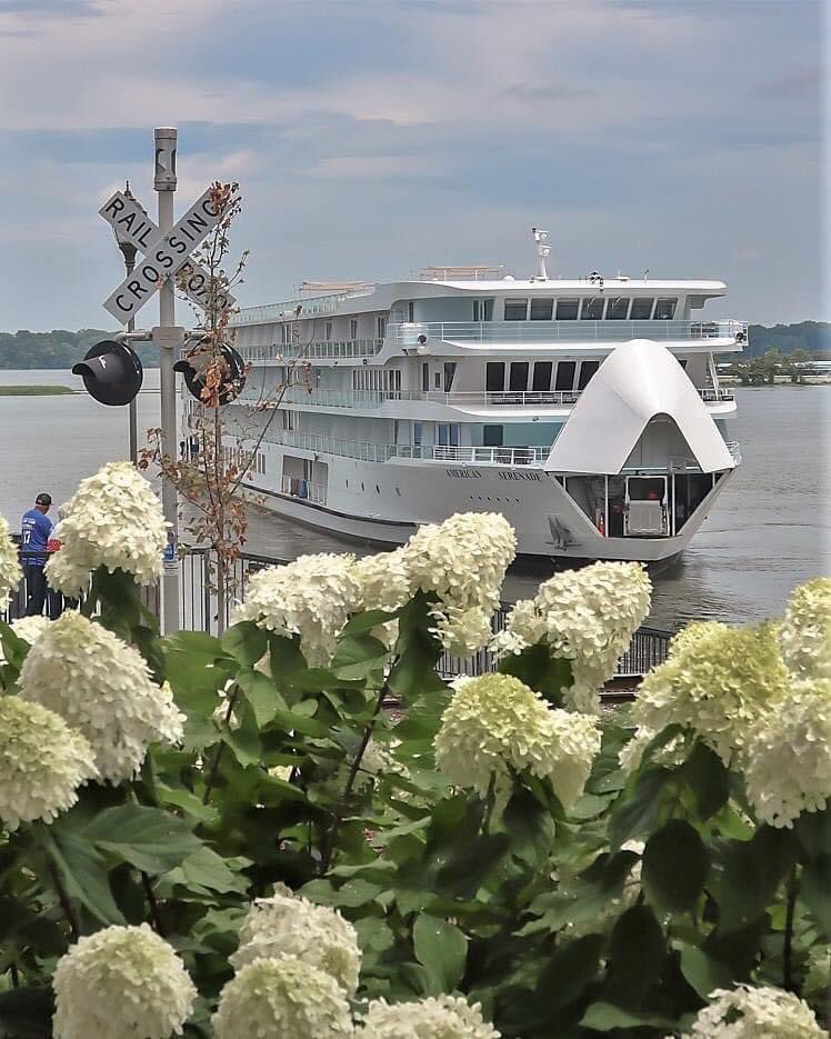 VisitDecaturAL's tweet image. American Cruise Lines is back in Decatur from 8-12 today! 
Photo from our ambassador Jennifer Amoroso! 

#visitdecatural #decaturwhereitsgreater #sweethomealabama #alabamatravel