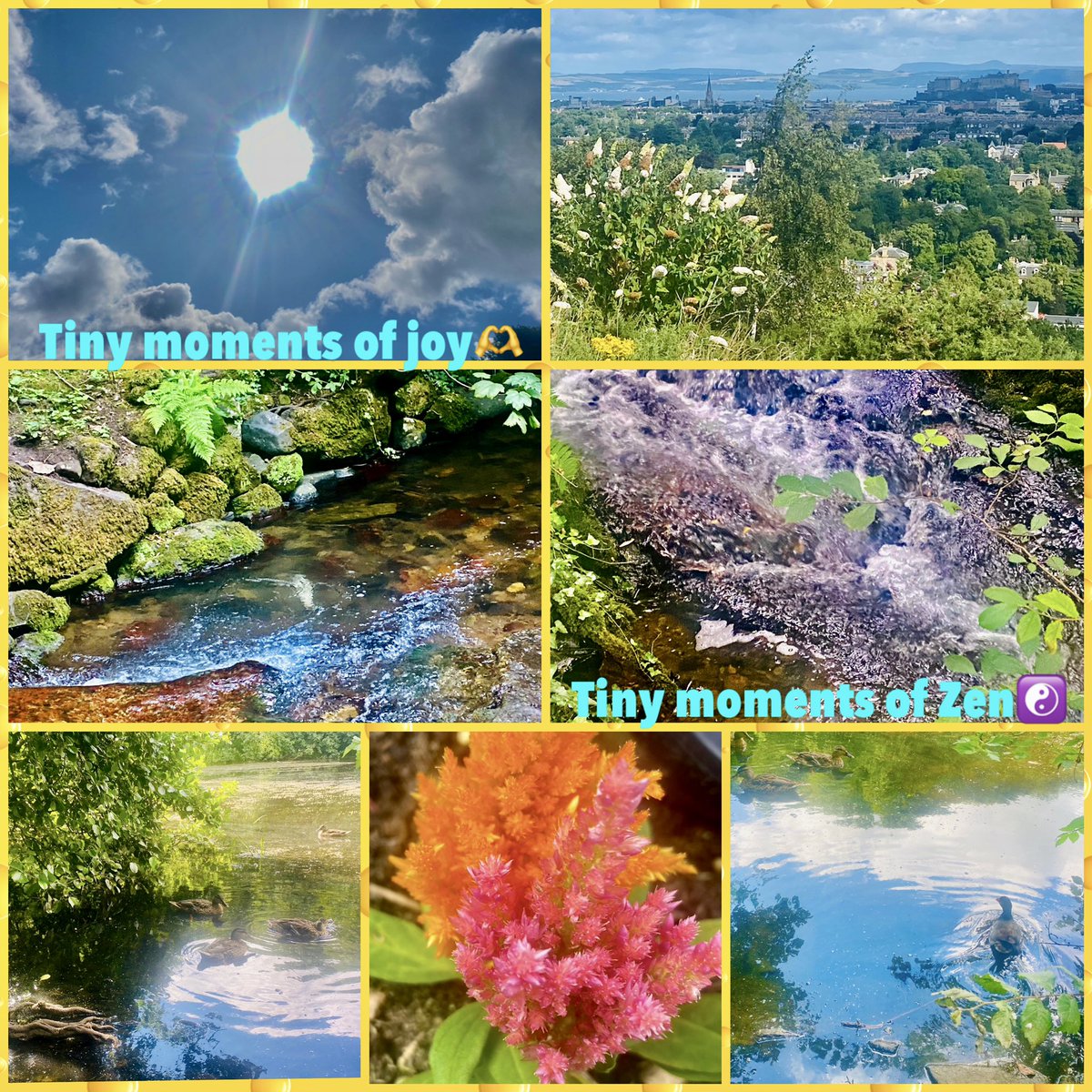 JudeMckerrecher's tweet image. A bit unsettling awaiting faculty SQA exam results this time each year🤞Today, youngest son also received his results. Very proud of him, his efforts, &amp;amp; all of our learners at school. A walk with a little zen magic &amp;amp; #tinymomentsofjoy was welcome &amp;amp; wonderful!🫶☯️🪷#NoWrongPath