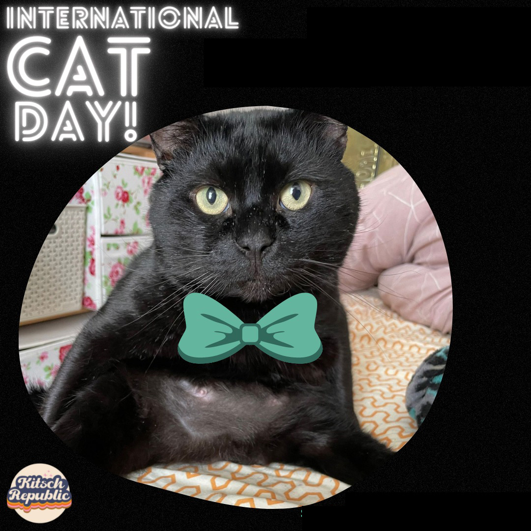 Kitsch_Republic tweet media