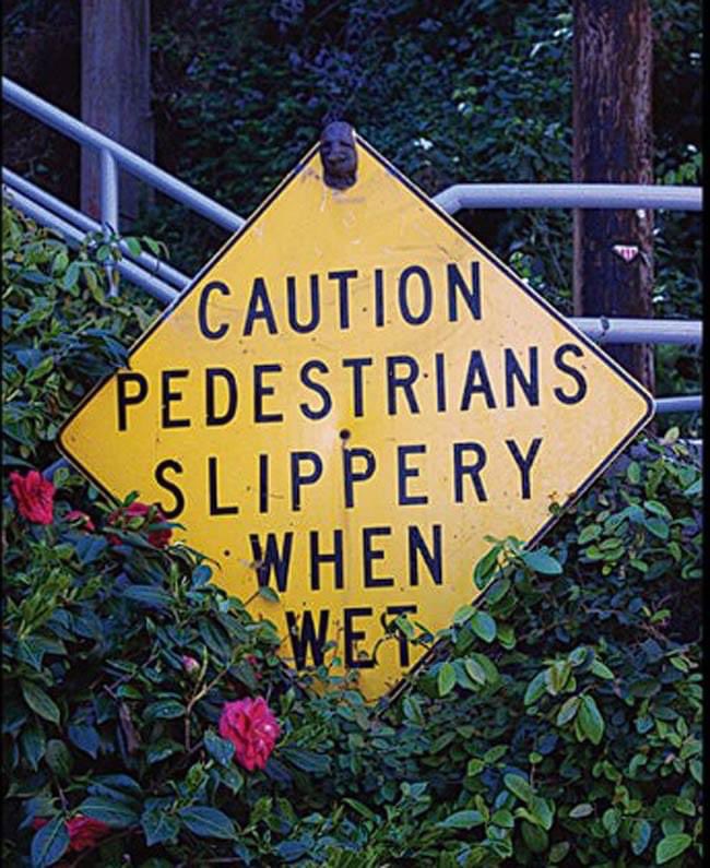 slippery pedestrians😂 @Roseymelhill @crzyfkinworld @SARA2001NOOR @Wipapa5 @Attorney4Marge @WilliamFPeters2 @AussieDebPeace @LaurelBlu2 @kodiak149 @Hilltop__Leader @MarciaBarrie @Rubicon1313 @ltwlauren @Samiknowsbest1 @Nagual44444 @michelle_spenc @TonyHQ1985 @Bornabrit1 @SDDNP