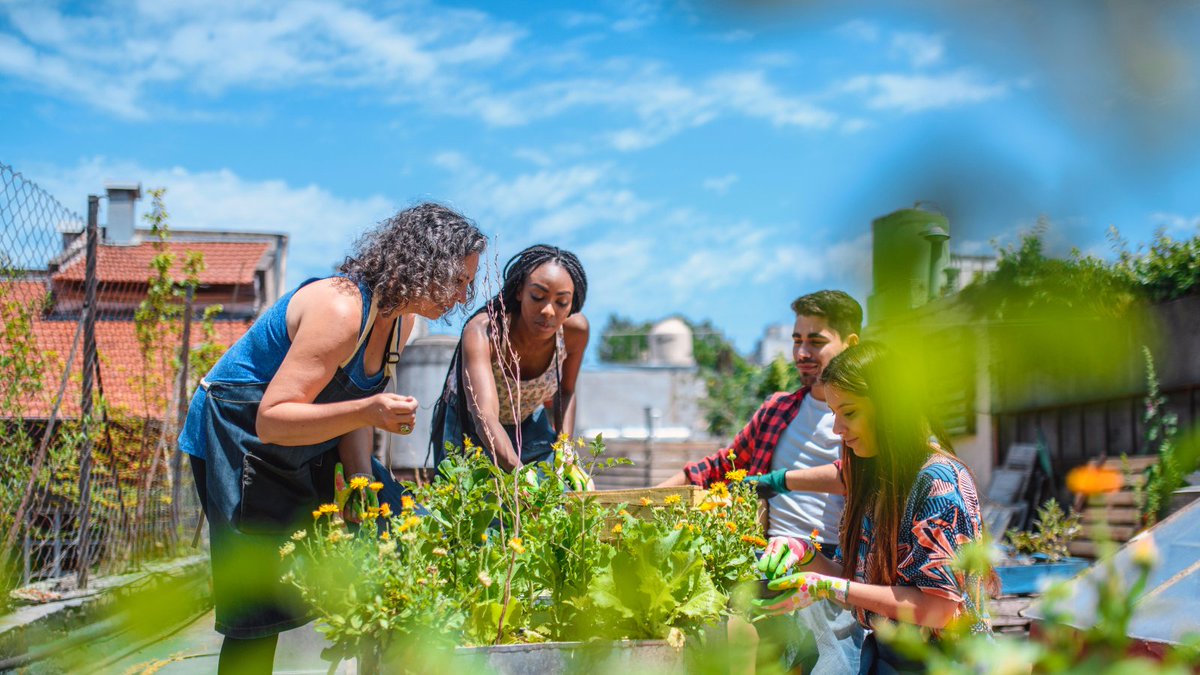 weviveapp's tweet photo. Are you part of a community group doing something great?   

Tell us about it! 

We want to celebrate your amazing work and inspire others to join in. 👏 
#WeviveCommunity #community https://t.co/29nPkm99PE