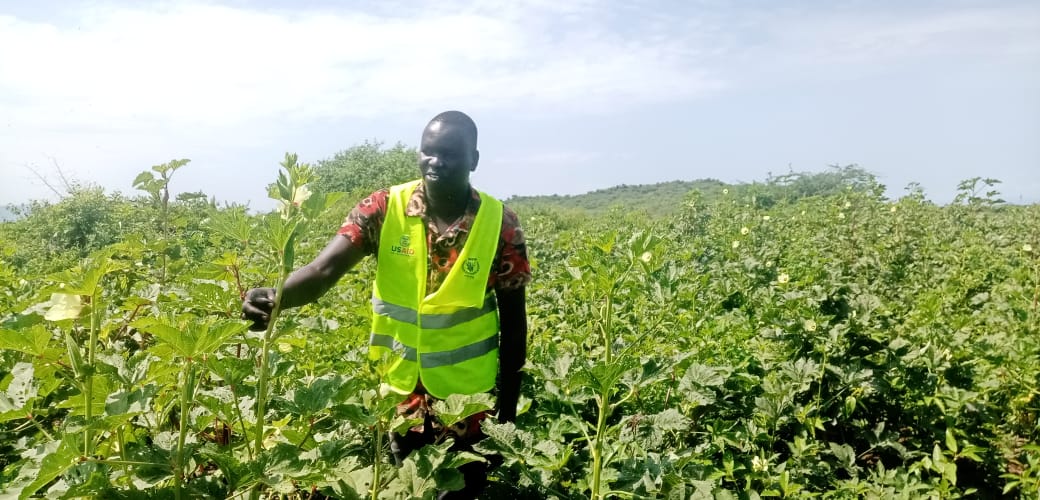 Creating a #resilient community of #KapoetaEast through the kitchen gardening approach.

The 2023 food distribution project with support from <a href="/WFP_SouthSudan/">WFP South Sudan</a> is coming to an end in Kapoeta and our beneficiaries are grateful for the capacity built.