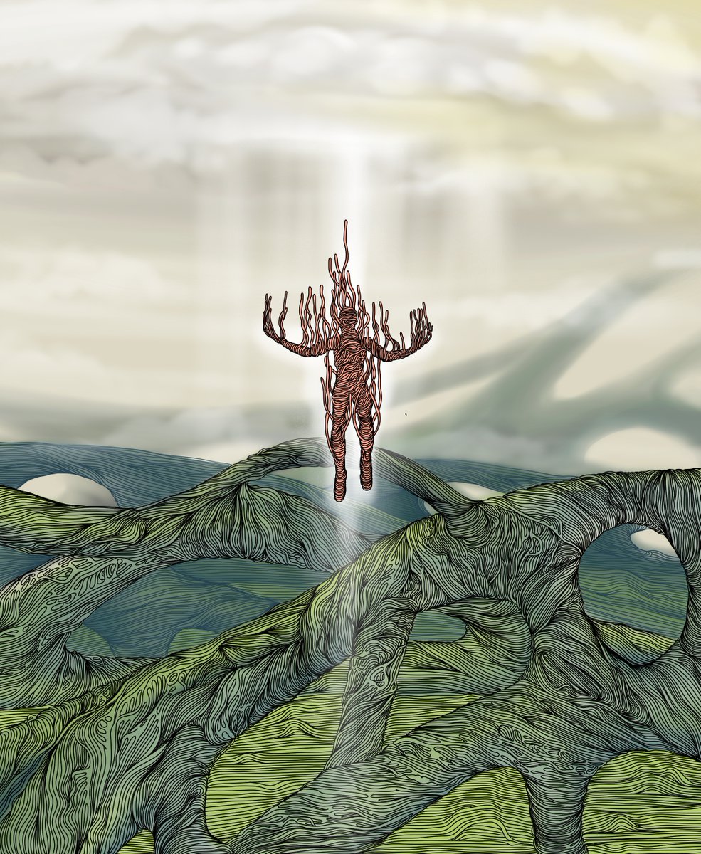 Hipocreate▪️ tweet media