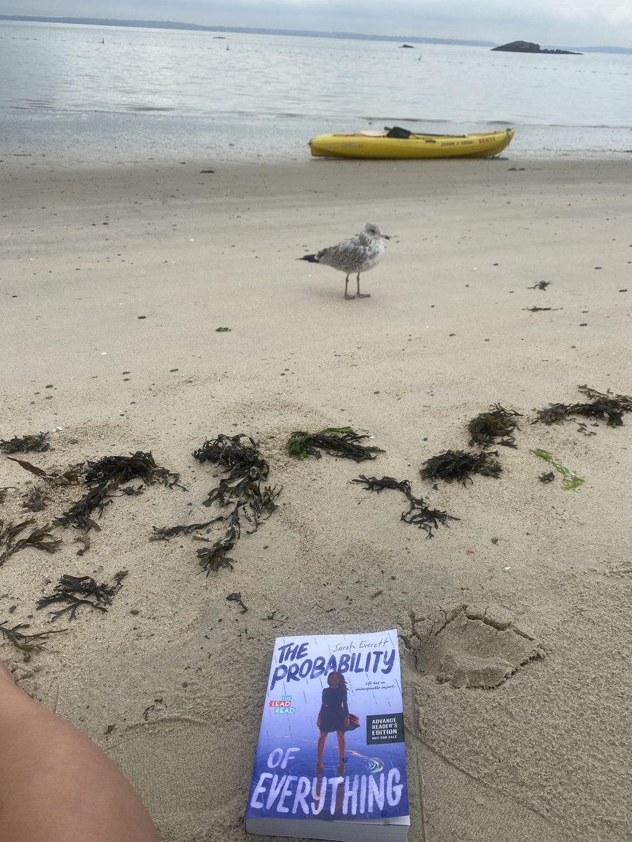 MsBlyereads's tweet photo. It’s just me, my new bird friend, and #TheProbabilityOfEverything by Sarah Everett this morning at the beach. Have been hearing so much about this book & cloudy days are perfect for solo reading time! @ClarionBooks https://t.co/VXO3ec8TWH