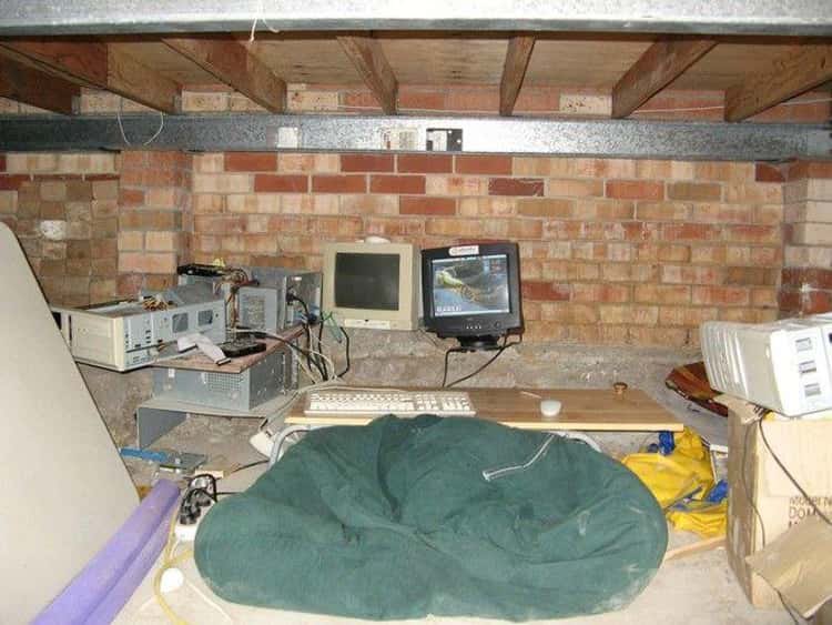 ogcleave tweet media