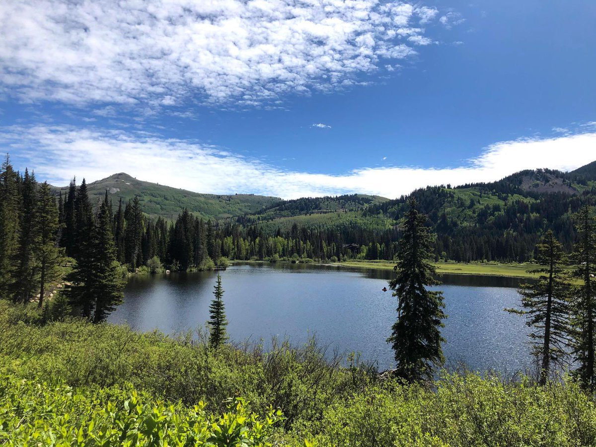 B I G G E R tweet media