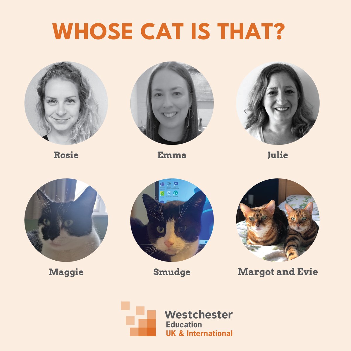 Curiosity is the key to unlocking a world of knowledge and learning. Today we celebrate our curious feline friends. 

Take a meow-ment to appreciate some of our whiskered Westchester buddies. Can you paw-sitively identify "whose cat is that"?

#InternationalCatDay