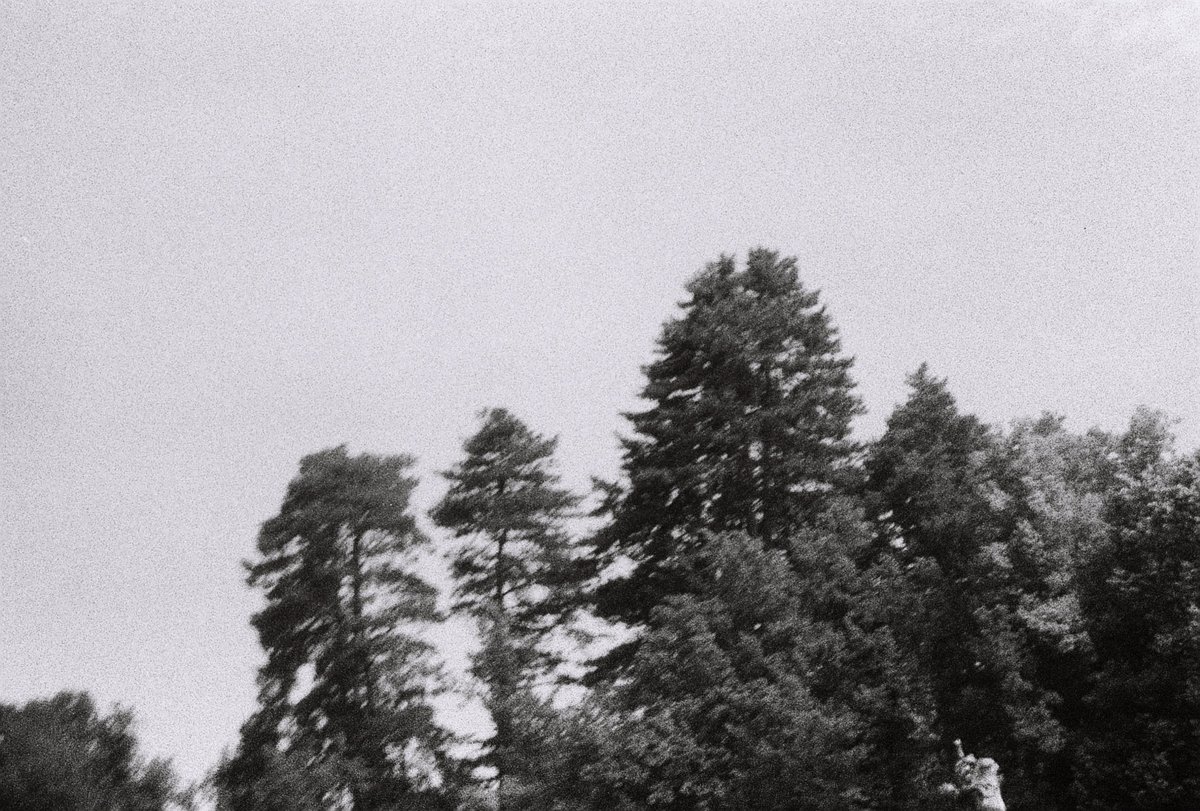 cisco_rosique's tweet photo. Voy a hacer un hilo con las fotografias analogicas que hice en mi viaje a Cantabria ☺️ https://t.co/oC392ODfaH