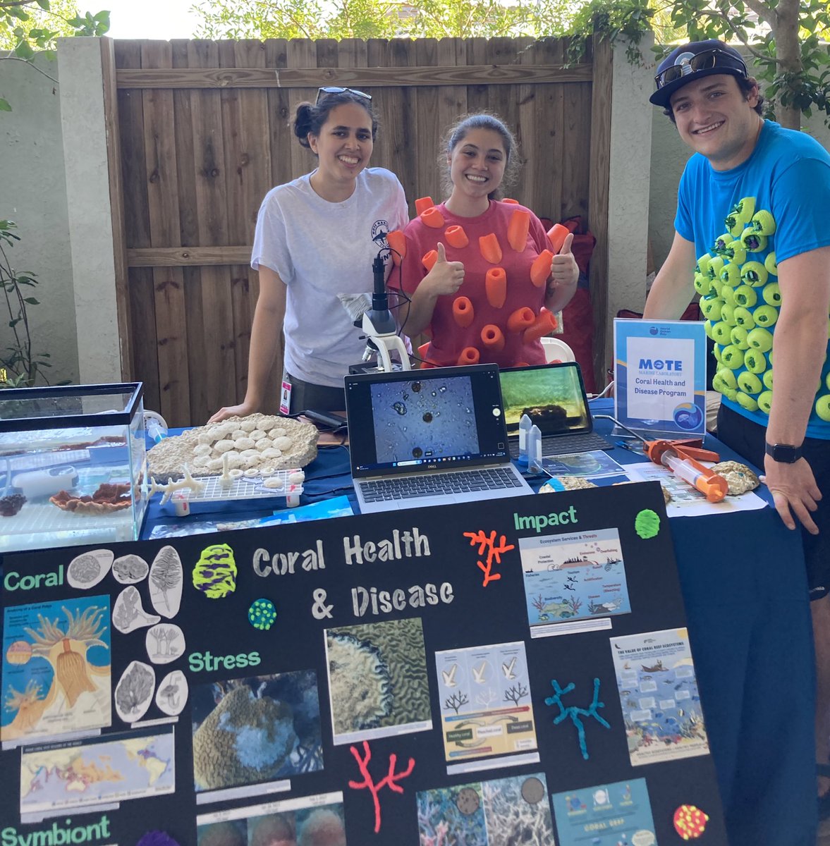 Dr. Sara D. Williams tweet media