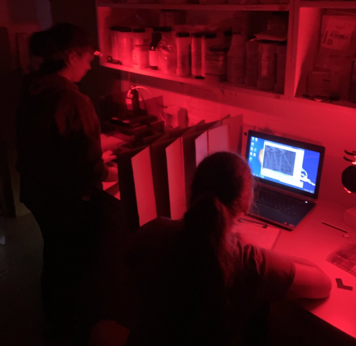 Dr. Sara D. Williams tweet media