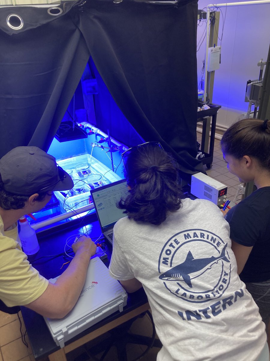 Dr. Sara D. Williams tweet media