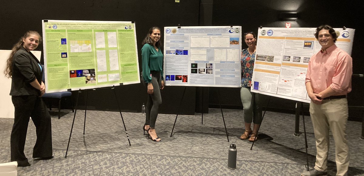 Dr. Sara D. Williams tweet media