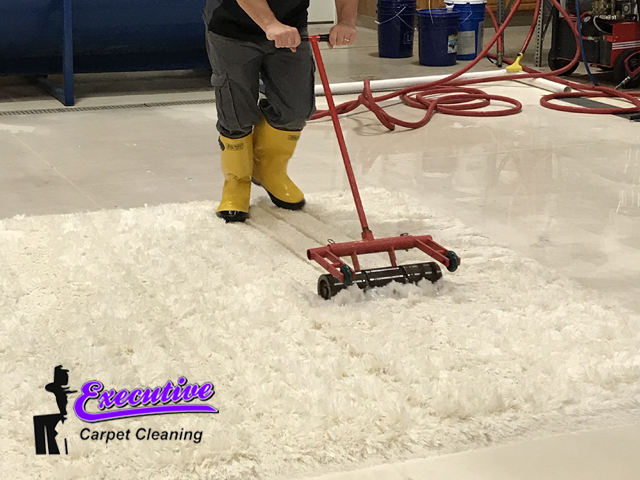 #executiverugcleaning

Your Premier Dry Carpet Cleaning Service in Enid, Oklahoma

#premierdrycarpetcleaning #carpetcleaningmethod #tileandgroutcleaning #upholsterycleaning #structuraldrying #enid #oklahoma

Call:☎️ (580) 234-4777

executiverugcleaning.net/latest-news/yo…