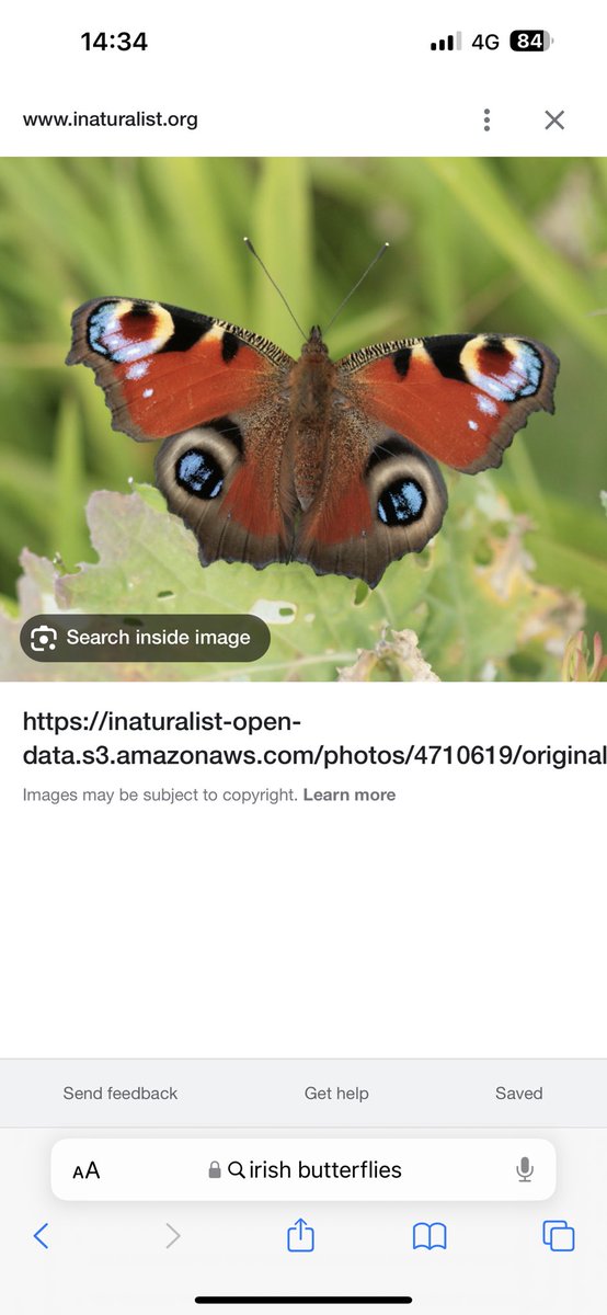 Conor Sprice tweet media