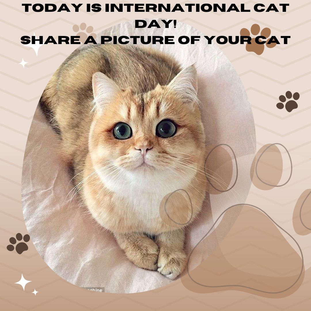 101.5 KPLA tweet media