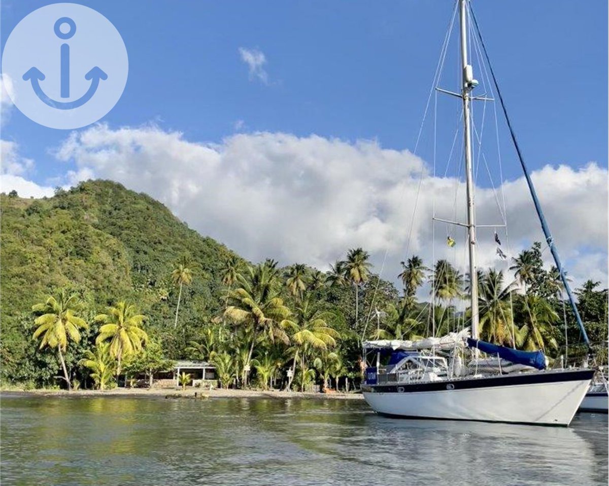ltd_indigo's tweet image. Kutani ⛵⚓, the adventurous sailor fresh from an epic 1-year Atlantic circuit! Upgrades galore, solo-sail champ, and style to impress.  Sandy toes, crystal-clear waters, and pure bliss await! 
For more info: 👀 : bit.ly/3KxkCN4

#boat #yacht #boatsale #yachtsale