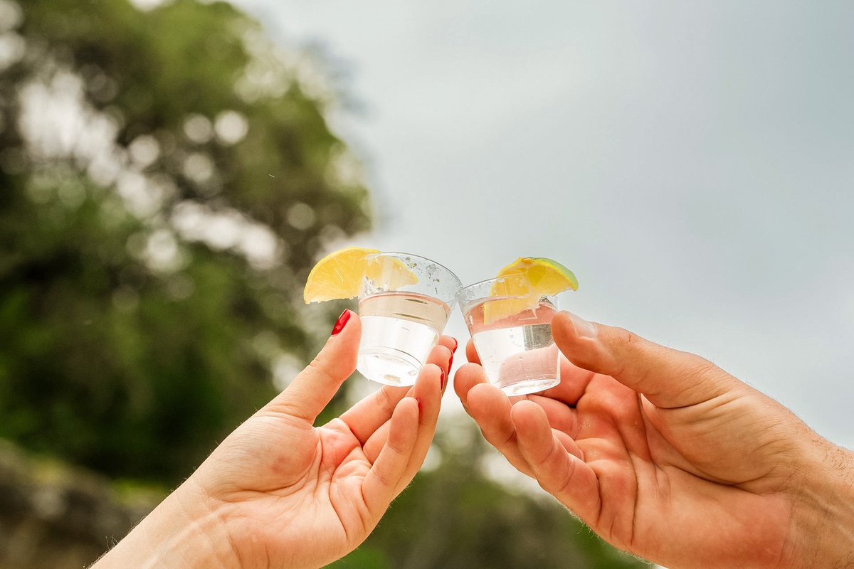 Surtierra Tequila tweet media