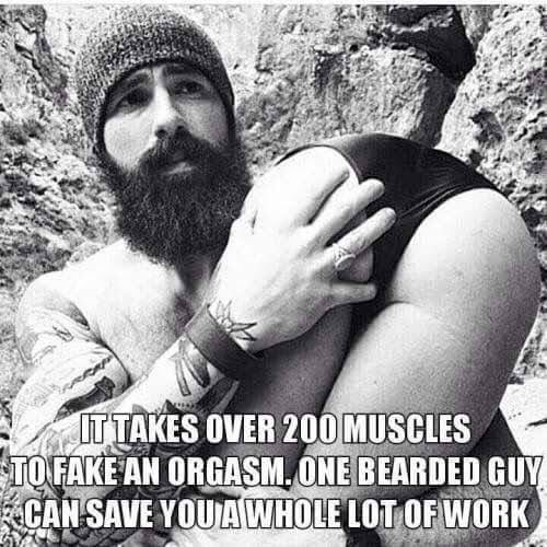 tiger-tom73 (@tom73tiger) on Twitter photo 