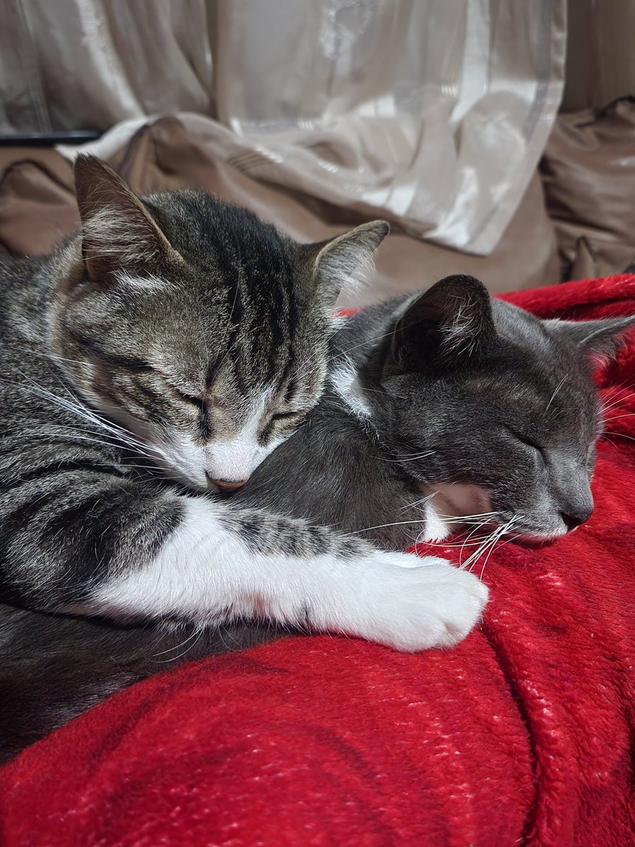 lukinhas tweet media