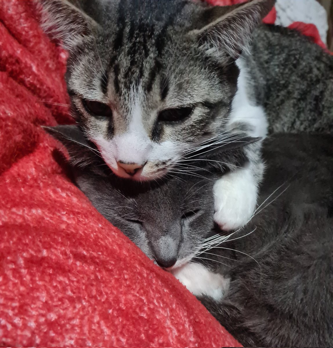 lukinhas tweet media