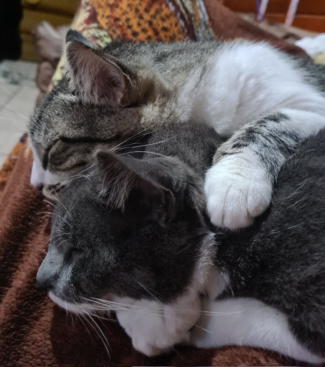 lukinhas tweet media