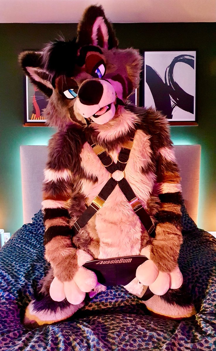 tavtavern's tweet photo. Harness thread?! Let’s gooo https://t.co/hthHYfZ7IE