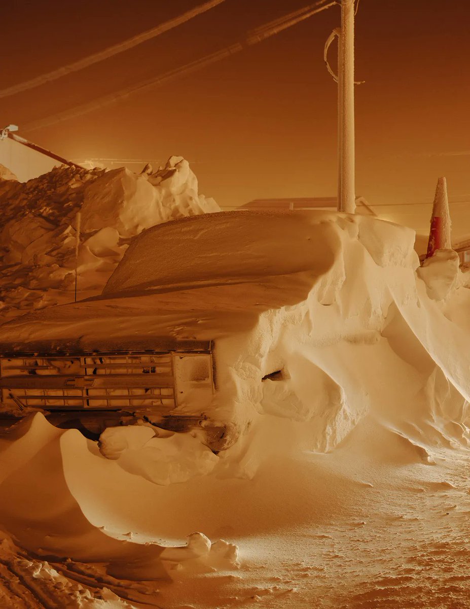 Aliens in Residence tweet media