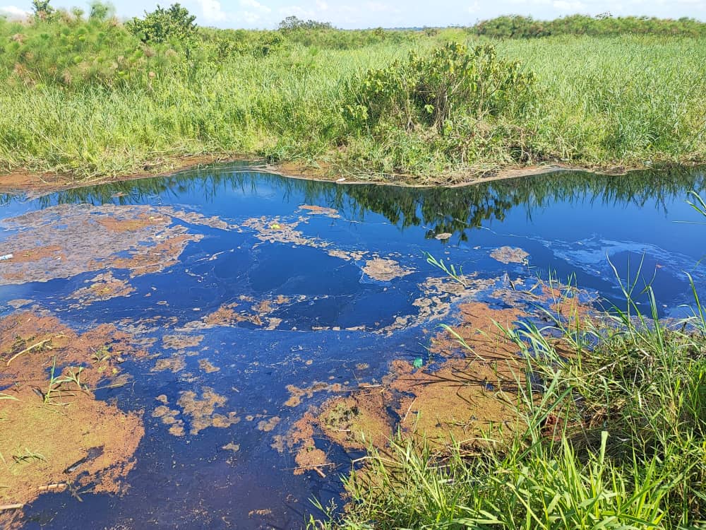Recently ,I   had a stop over at Ssezibwa  River , it's  pollution status is alarming.  
Let's  not forget it's  part of Victoria water catchment. Biodiversity  conservation is very  important  for Sustainable  livelihoods and ecosystem restoration .
#ClimateAction