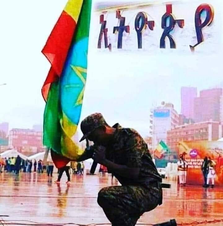 taha jamel (@tahajamel6) on Twitter photo 