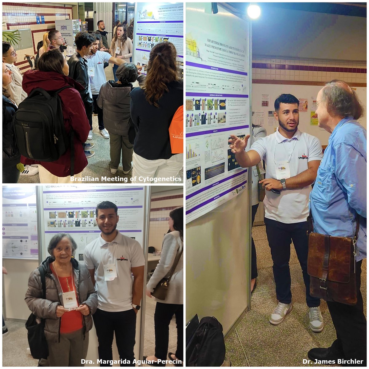 filipysaid's tweet photo. Remembering my presentation at the cytogenetics meeting.🧬Great presentations, posters, and people. My abstract: https://t.co/xuWr1T5kvn https://t.co/vh5RcEtqLb