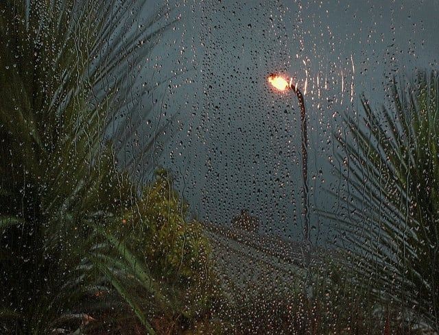 summer rain.